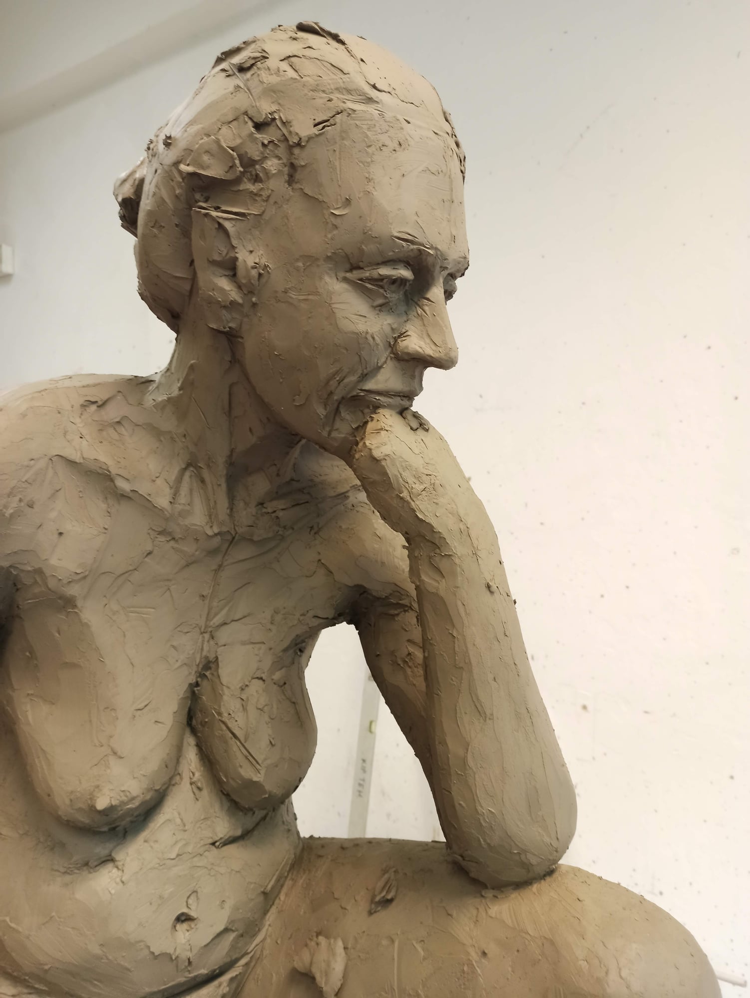 Figure II — photograph 9 of 15