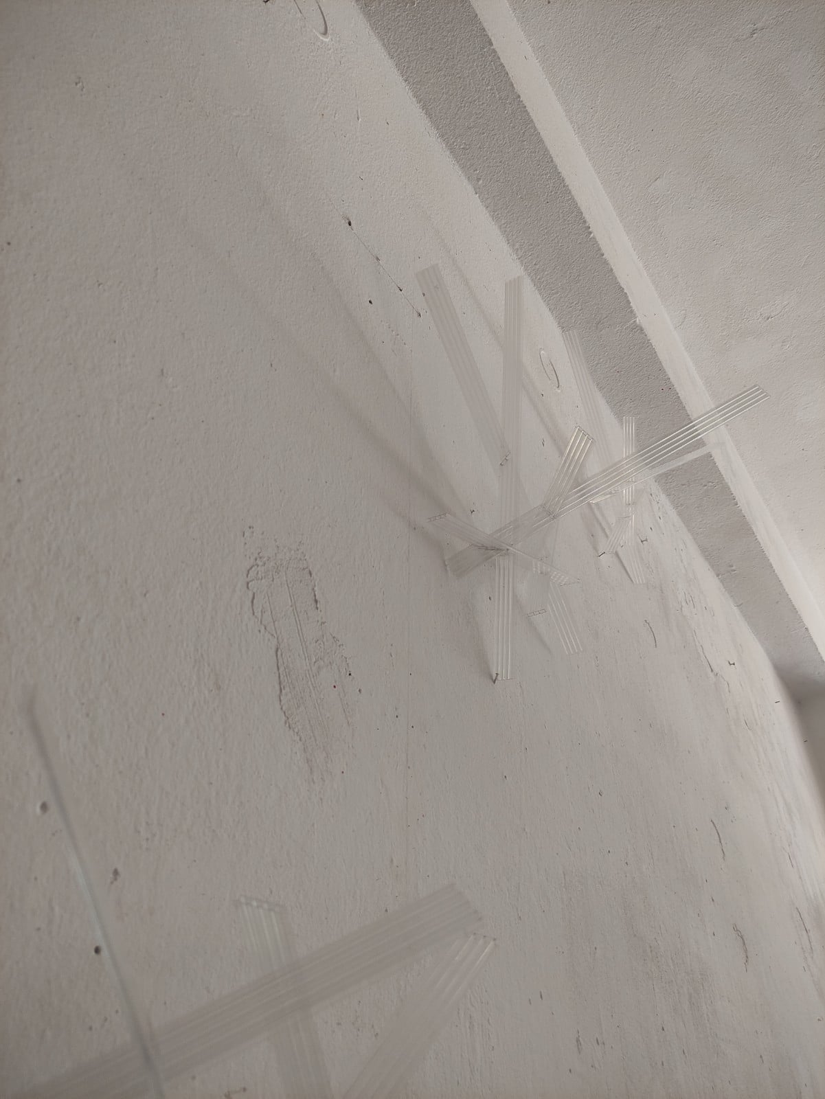 Memory — photograph 3 of 8